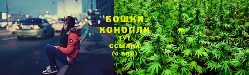 это наркотические препараты  Буйнакск  Канабис White Widow 